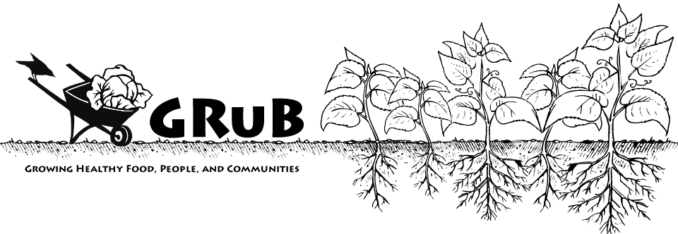 header_image6